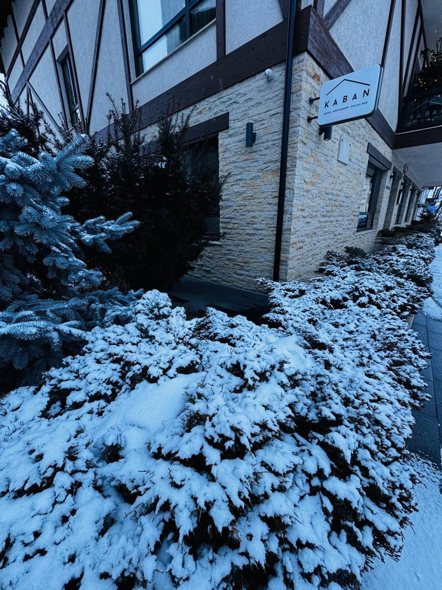 Kaban Boutique - 5Star Central Villa In Vatra Dornei Zewnętrze zdjęcie