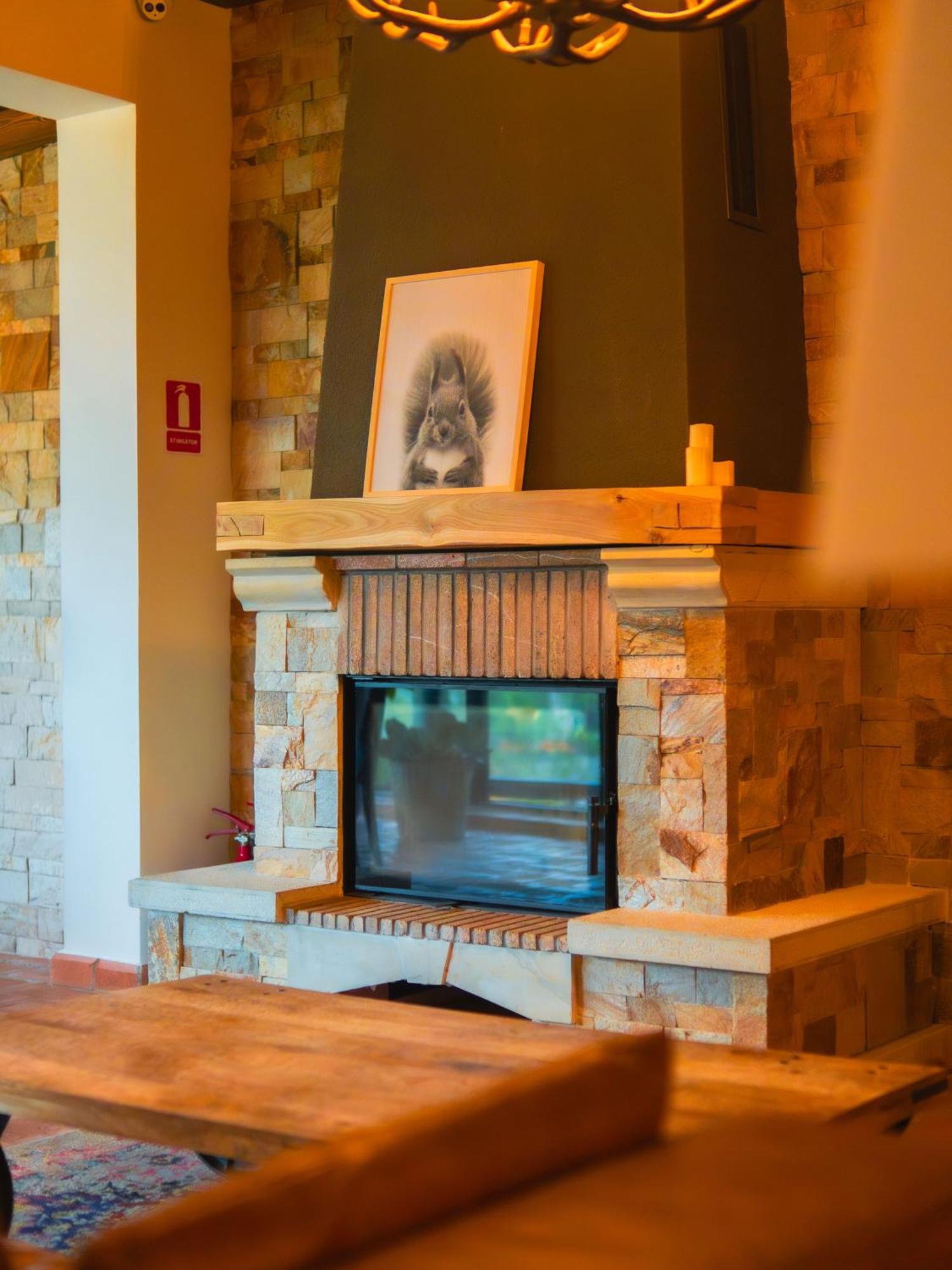 Kaban Boutique - 5Star Central Villa In Vatra Dornei Zewnętrze zdjęcie